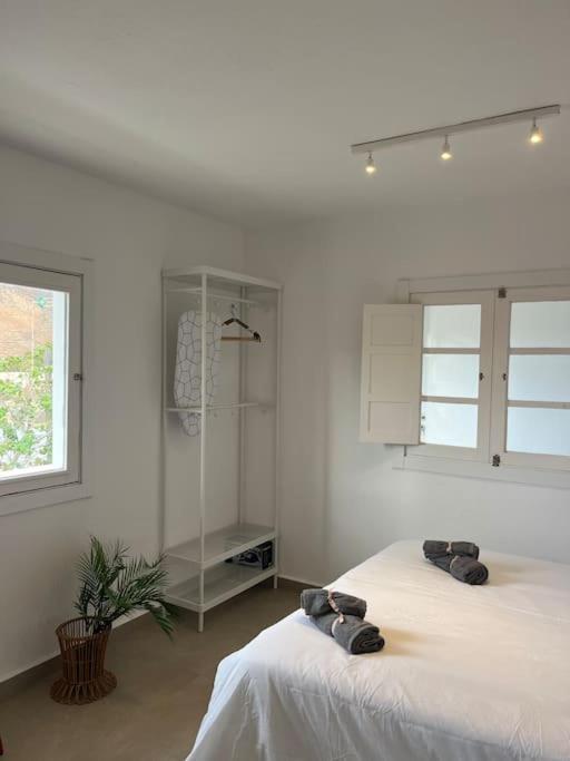 Casa Plaza 2 Διαμέρισμα Vega de Rio de Palmas Εξωτερικό φωτογραφία